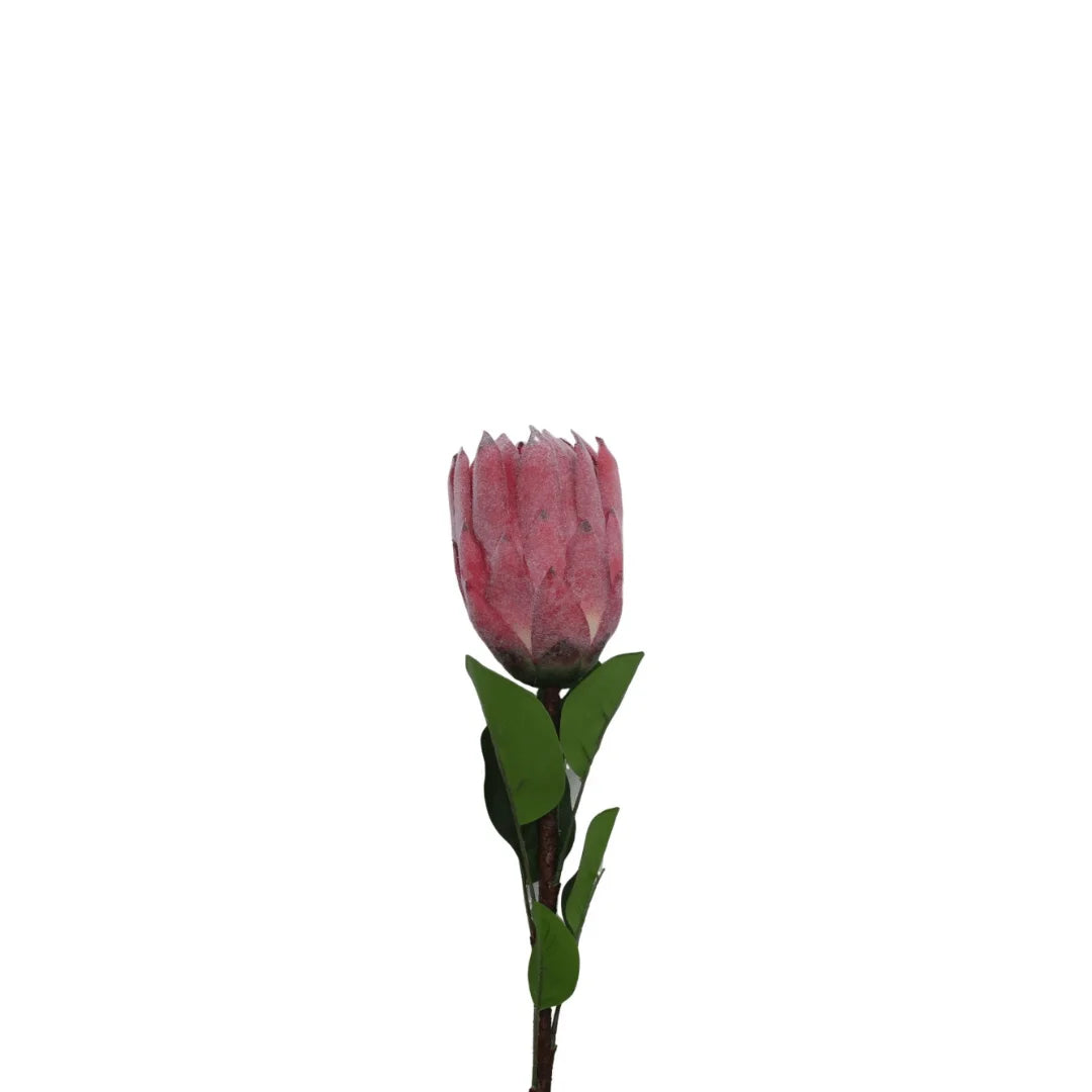 Pink flower with green leaves on a white background
