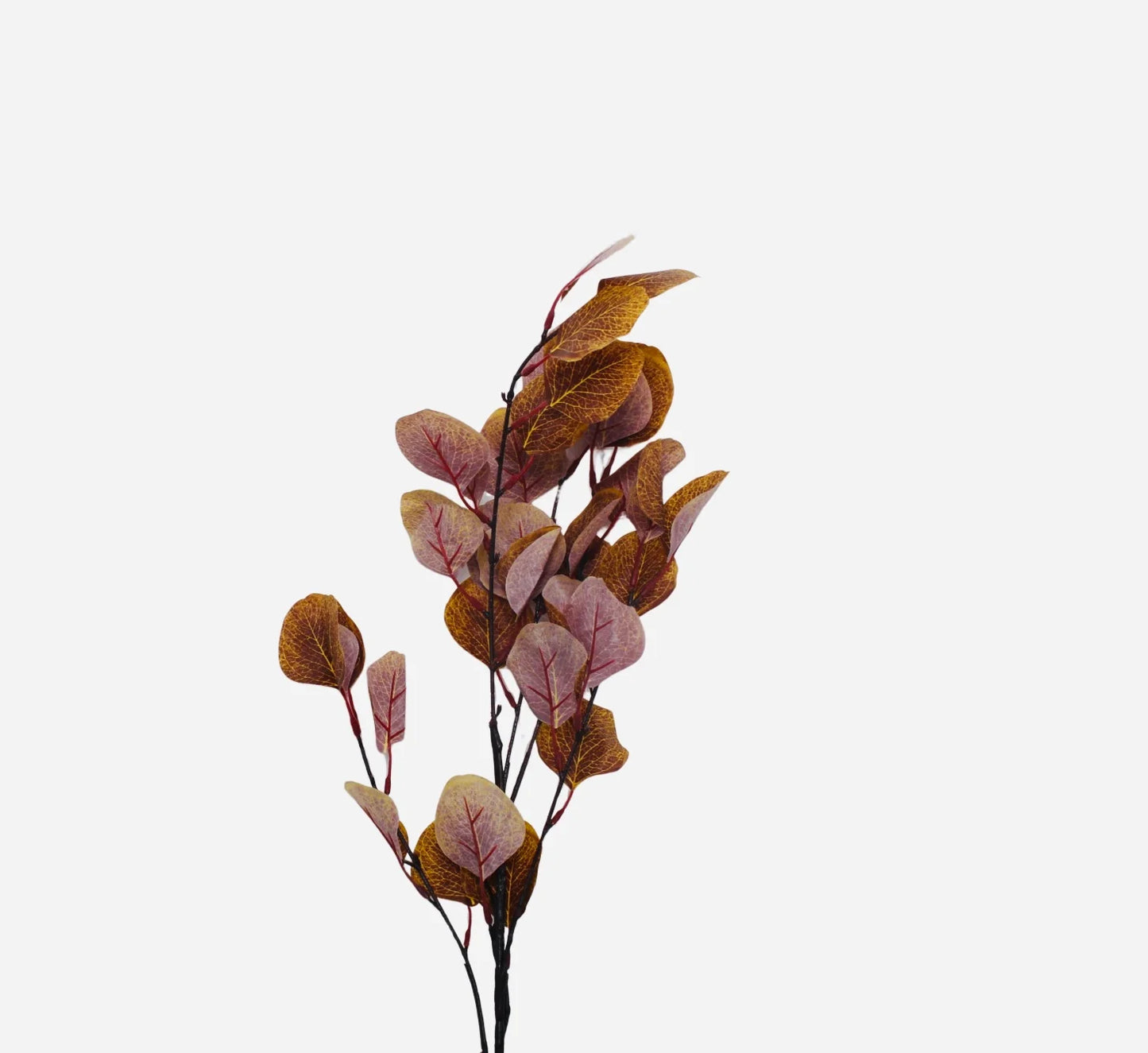 Natural looking Autumn Leaves