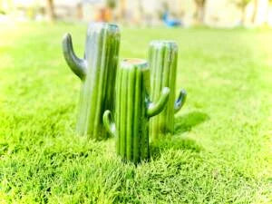 Cactus shape vases set of 3