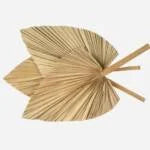 Wholesale Natural Color Dried Tropical Leaves