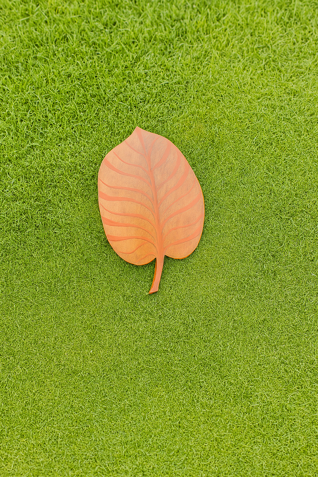 Leaf Shape Chopping Board