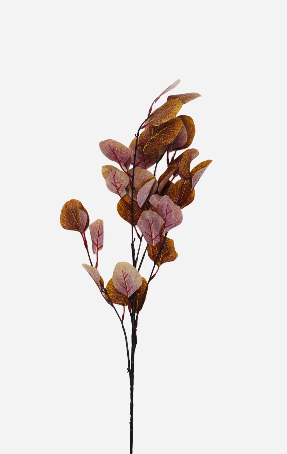 Natural_looking_Autumn_Leaves