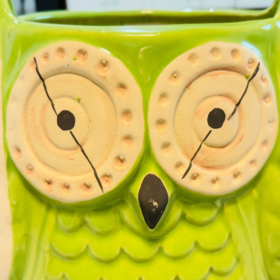 Green owl-shaped container with large eyes and a small beak.