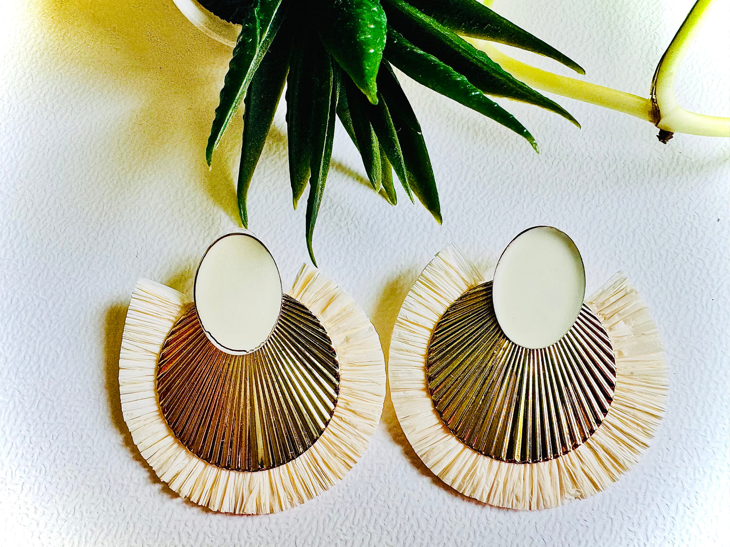 Pair of raffia earrings on a white background with a plant in the corner.
