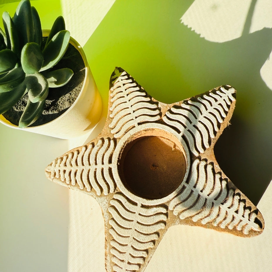 Star-shaped ceramic planter with wavy patterns on a light surface with a green plant in the background.
