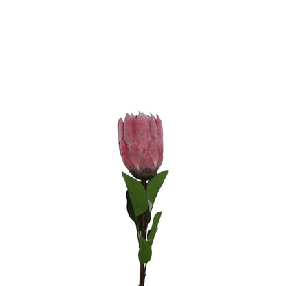 Pink flower with green leaves on a white background