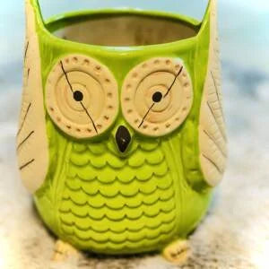 Owl Shape Vase