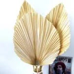 Wholesale Natural Color Dried Tropical Leaves
