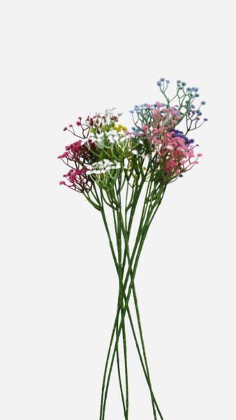 Bouquet of colorful flowers with green stems on a white background