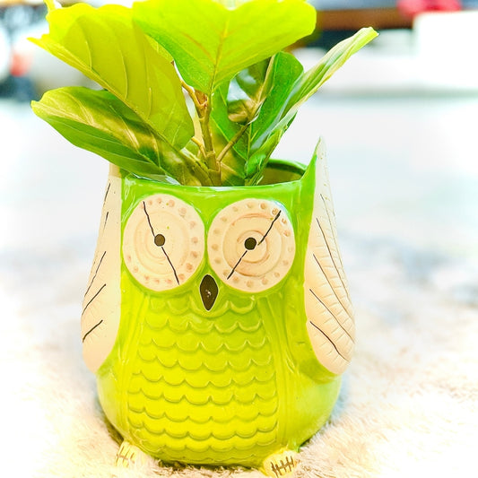 Green owl-shaped planter with a plant inside, set against a blurred background.
