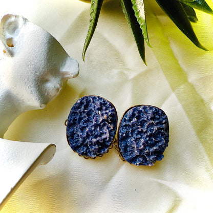 Blue stone earrings on a white fabric background with green leaves