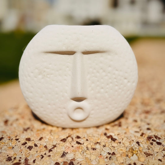 White sand dollar with a face on a sandy surface