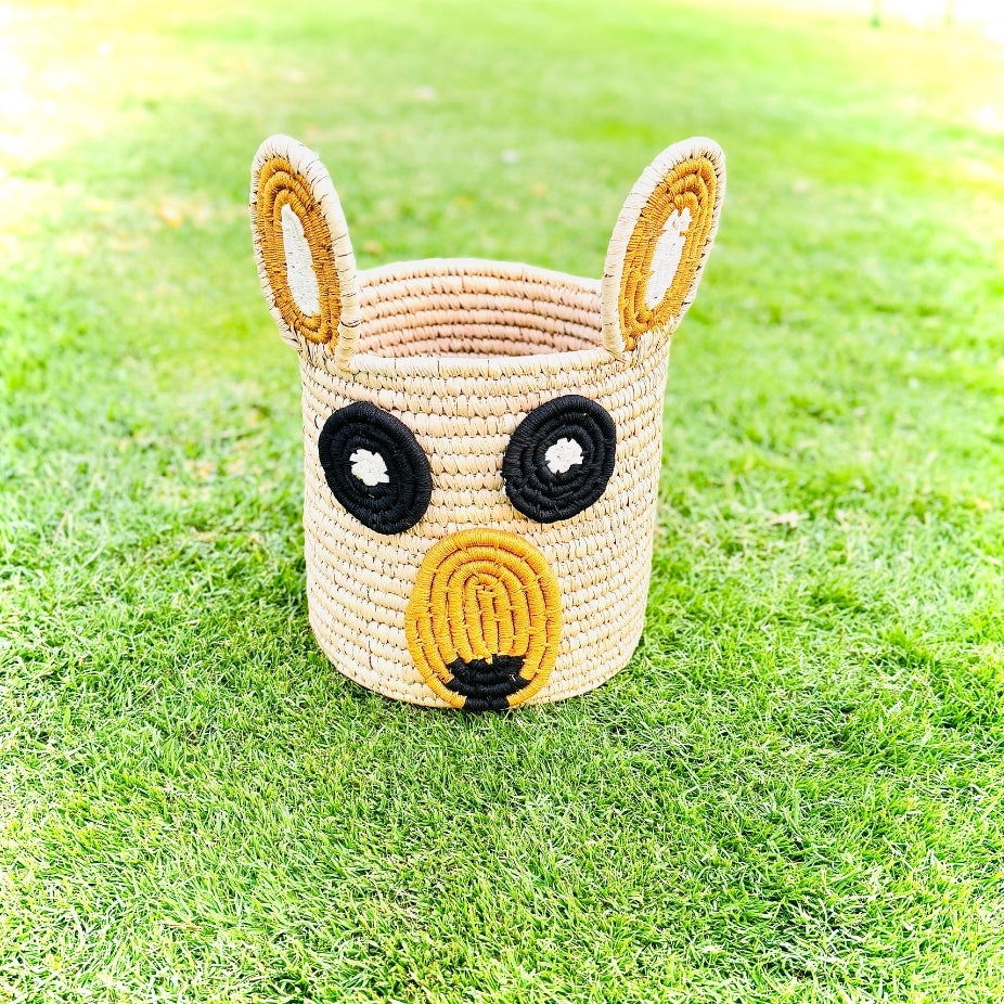 Sabai Grass Storage Boxes for Toys/ Magazine Available in 4 Designs