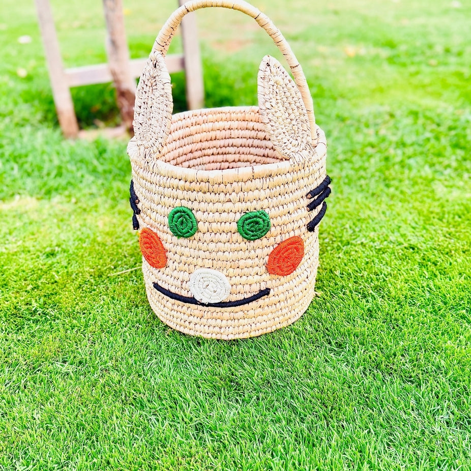 Sabai_Grass_Storage_Boxes_for_Toys_Magazine_Available_in_4_Designs_