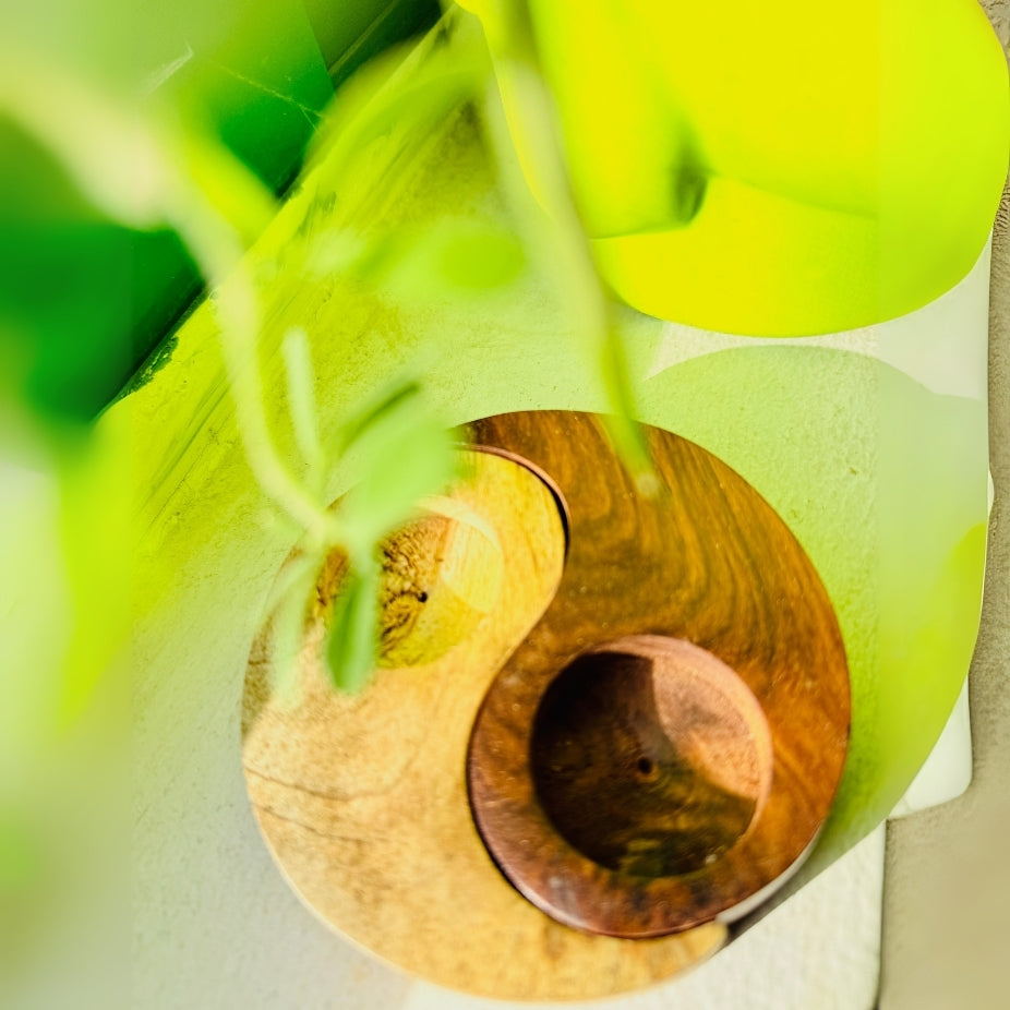 Wooden bowl with a green leafy background